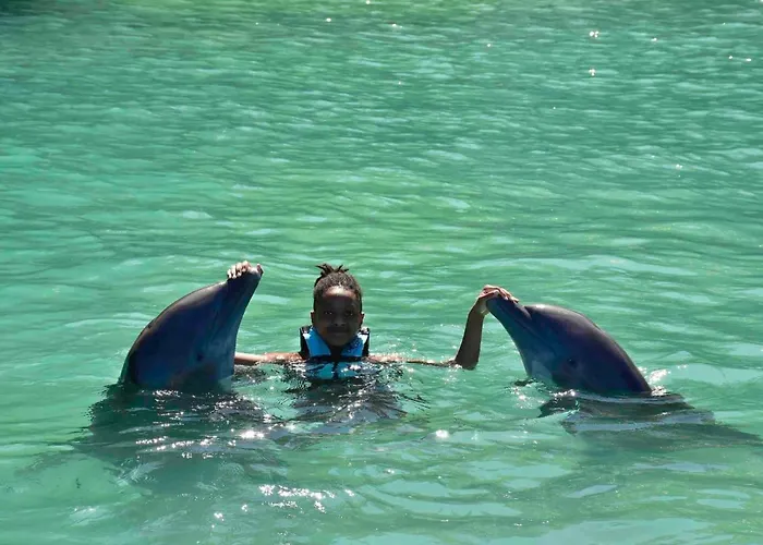Crystal Jamaica Tours * Montego Bay